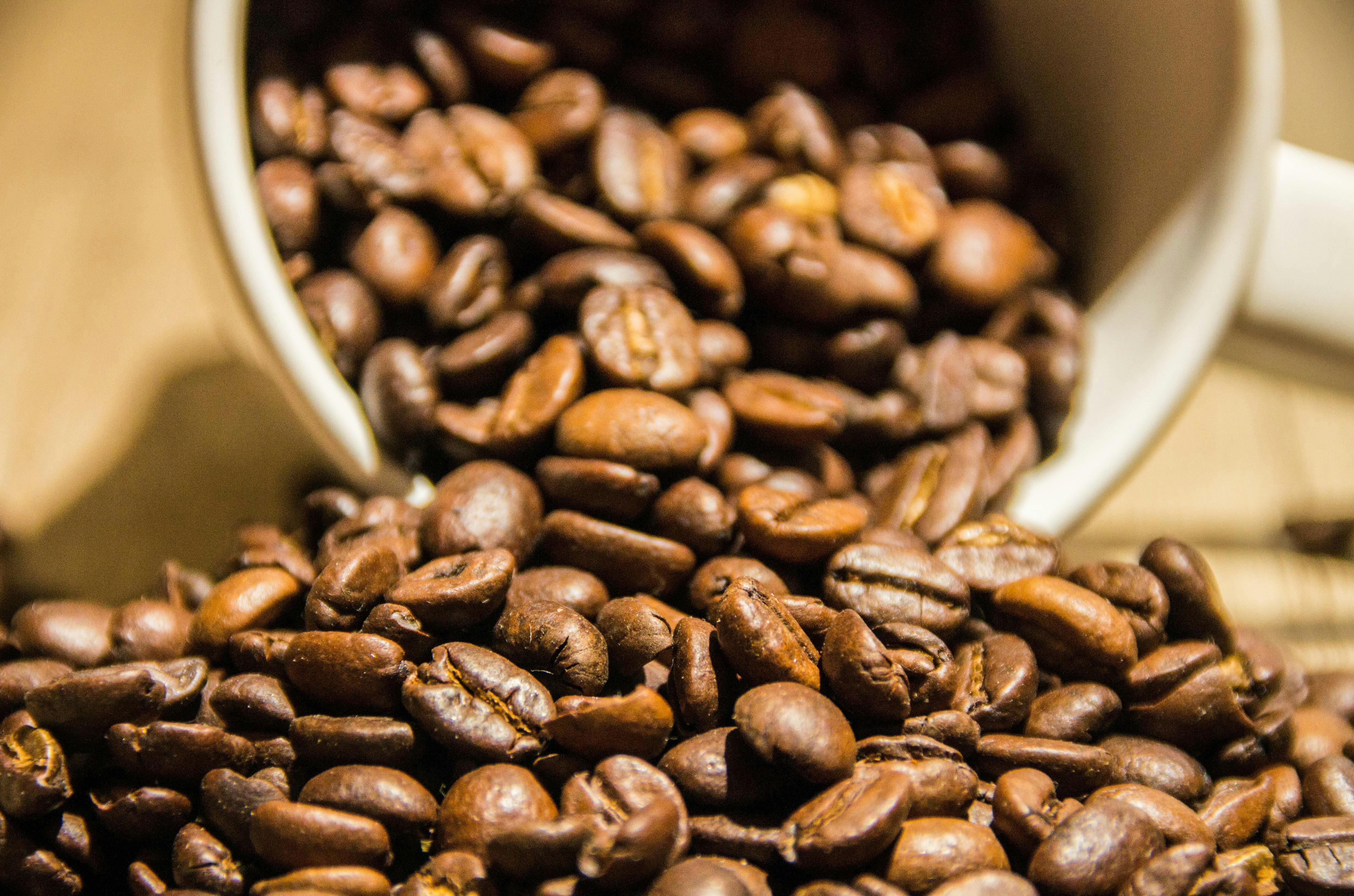 Caffè, Orzo e Cioccolato solubile