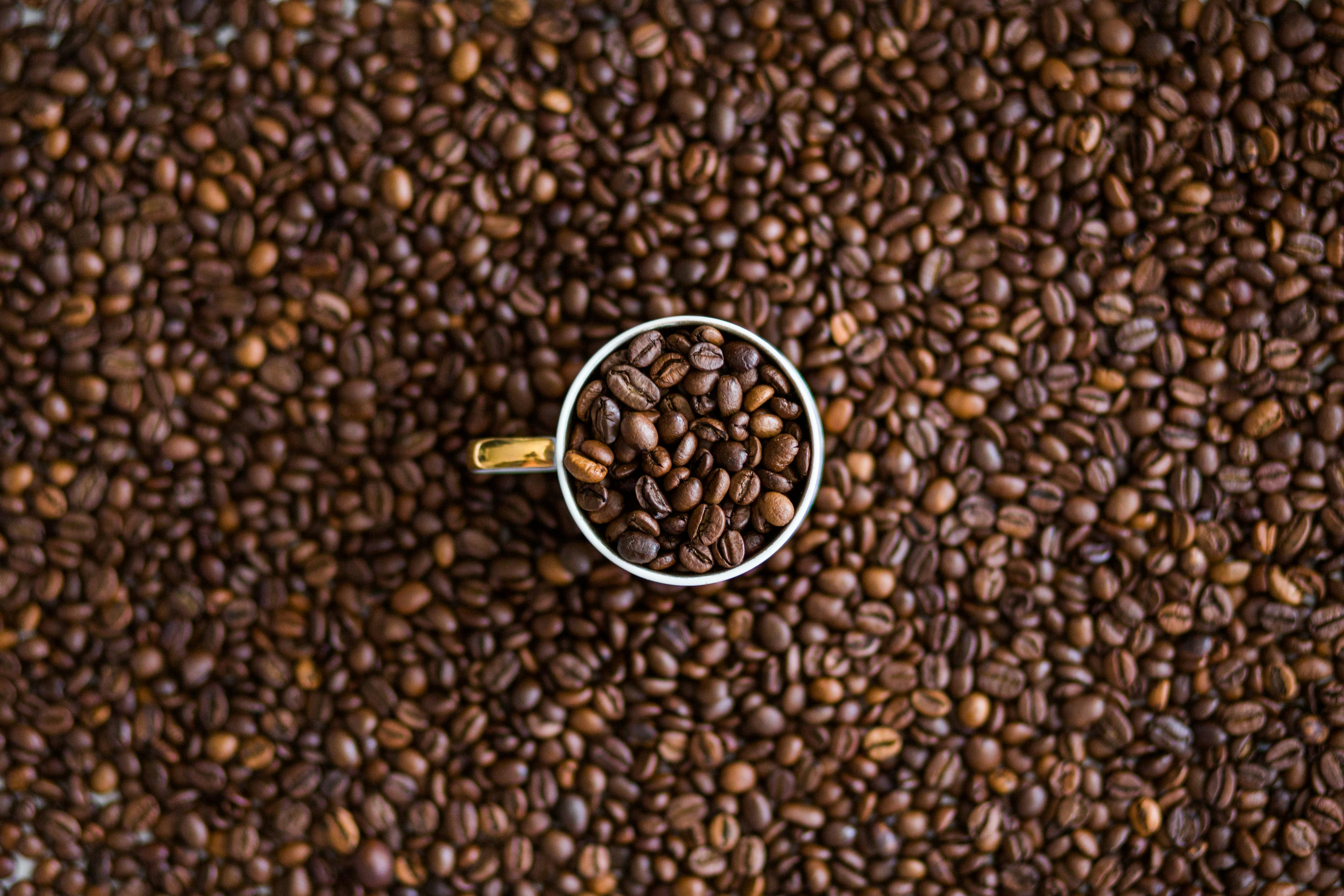 Caffè, Orzo e Cioccolato solubile EFFEDUE